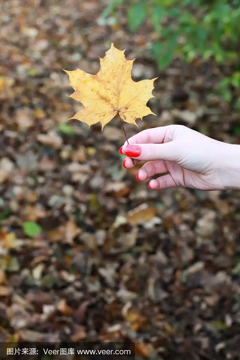女人手里拿着一片金色的枫树叶