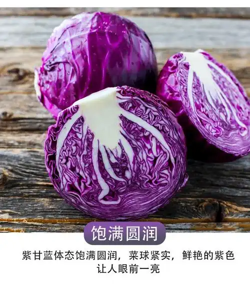 新鲜紫甘蓝蔬菜带箱紫包球生菜紫卷心菜红椰菜新鲜蔬菜沙拉菜 精品紫