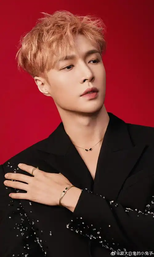 zyx zix lay ljj krump bot 莲 莲姐姐 染色体 rst 张艺兴粉丝 张艺兴