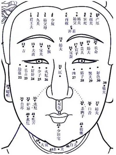 手臂痣的位置与命运图女,手掌上的痣的位置与命运图解