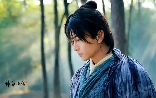 神雕侠侣,内地,电视剧,古装,武侠,爱情,杨过,陈晓,影视神雕侠侣壁纸