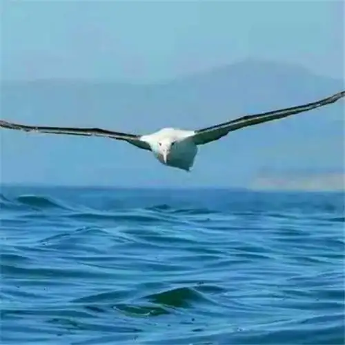 爸爸们爱用的头像 高清适合40岁以上父亲用的头像图片_微信头像_头像