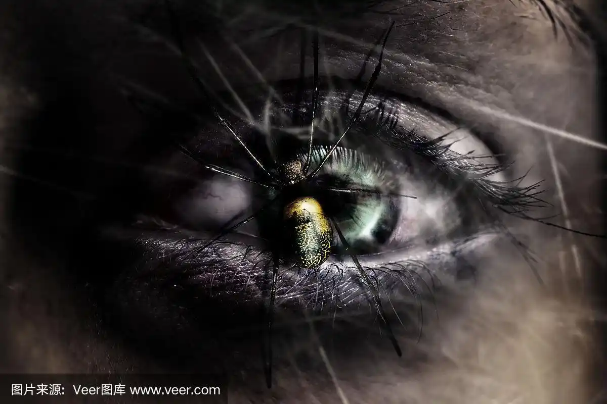 吸血鬼眼睛上的恐怖蜘蛛