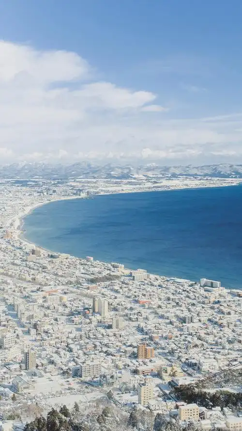 1000_1777竖版 竖屏