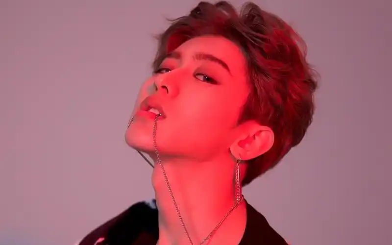 电脑壁纸 明星 大陆明星 蔡徐坤时尚帅气写真