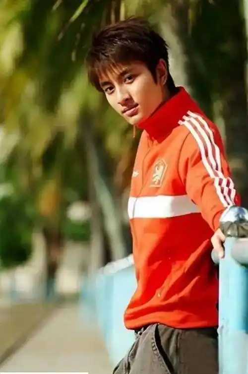 三天两头往前妻家跑离婚不到3年贾乃亮和李小璐有了新的故事