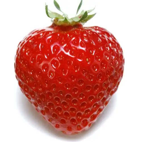 凡华农业草莓国产草莓大凉山新鲜绿色草莓无农残留