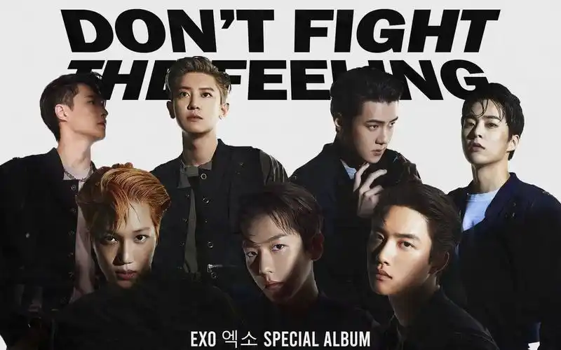 【exo】electric kiss-论电吻宝的适配度