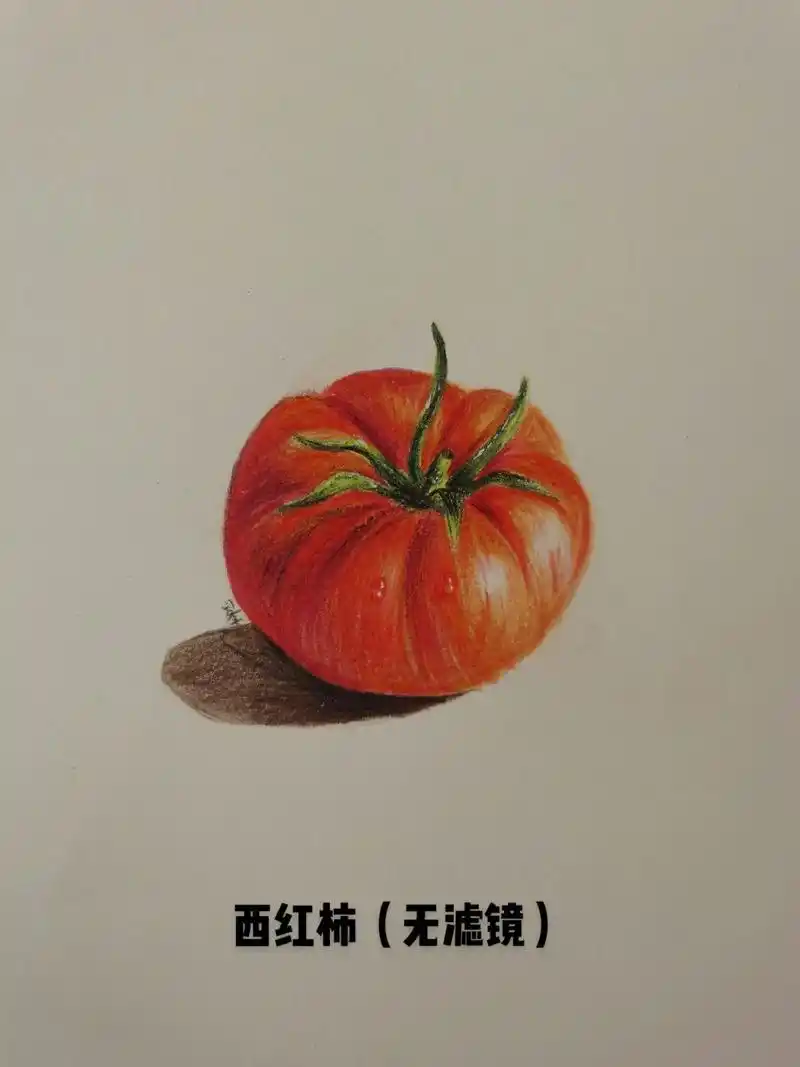 画画 #彩铅#西红柿#一起学画画 #手绘  好久不画了,又 - 抖音