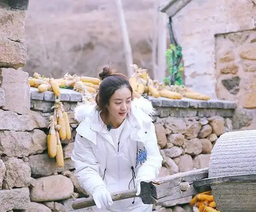 赵丽颖是娱乐圈的一朵清流,她出身农村,没有大小姐的骄横,但是她却有