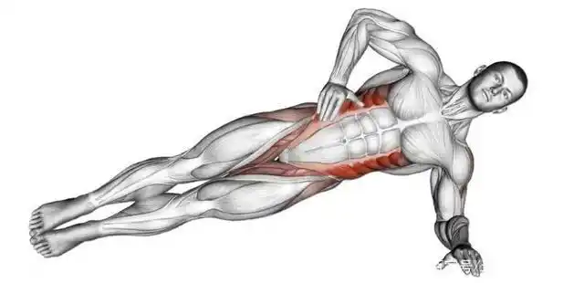 30张腹肌训练图谱告诉你,腹肌各部位怎么练