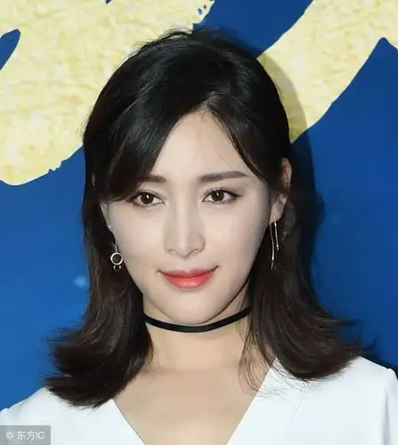 中国内地女演员:甘婷婷