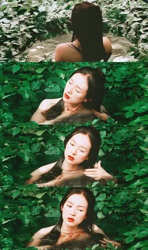 十面埋伏 章子怡