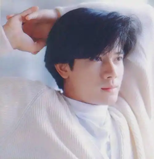 香港十大美男(香港十大男神:郭富城第5,梁朝伟第2,第1是经典)