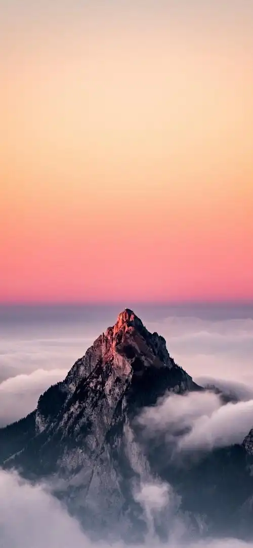 1440_3120竖版 竖屏