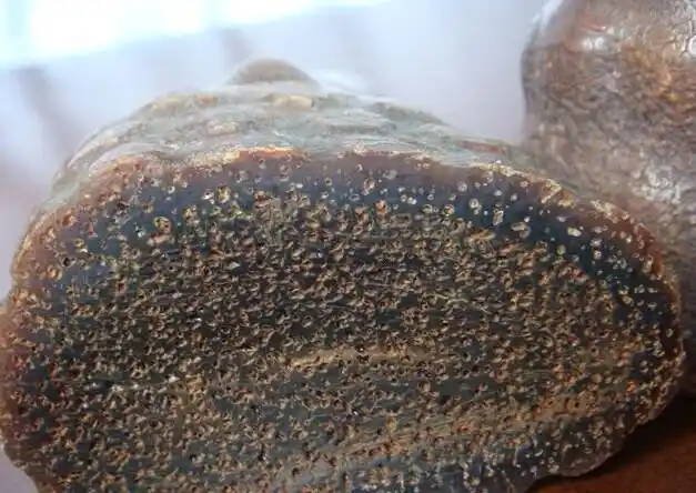 犀牛角的药用价值(犀牛角手串图片大全)插图