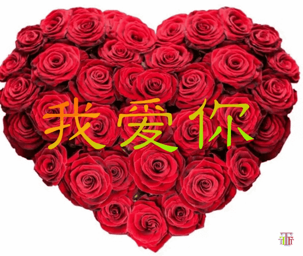 我爱你,就像你爱着我.