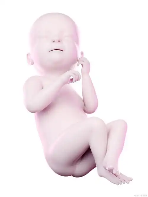 抓住胎教关键期,宝宝轻松养成好习惯