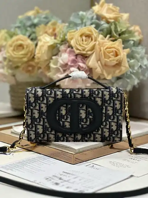 迪奥手提流浪包图片大全 迪奥黑包怎么配色的#黑色银扣   br/> br/>