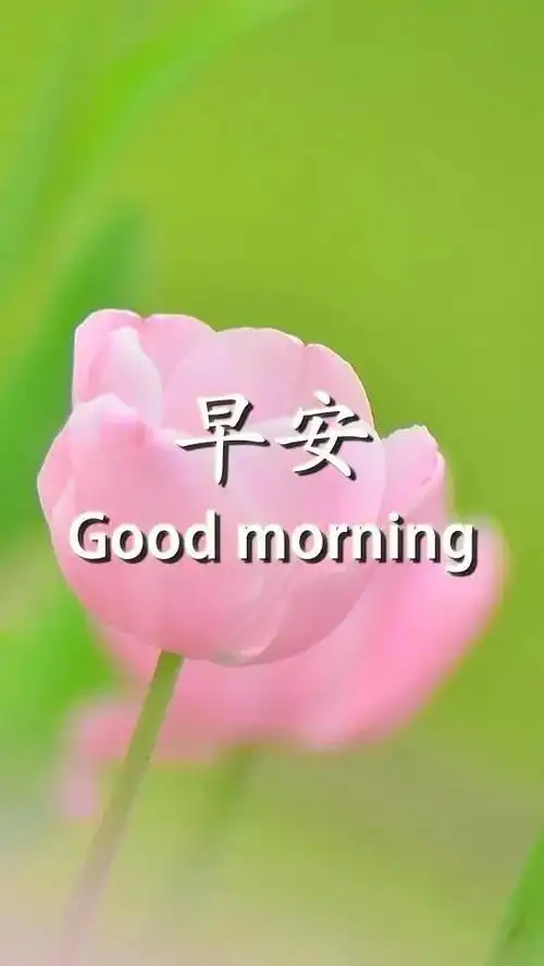 原创2021最新早安祝福语大全 牛年早安问候语表情图片 牛年祝福语短句