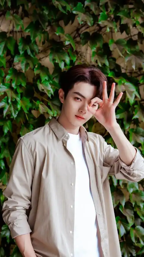 生日快乐_物料汇总  官方祝福许凯soso的宣传委员  粉丝作品许凯