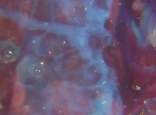 放大镜显示挂红的釉下气泡.也有的釉中无明显气泡.