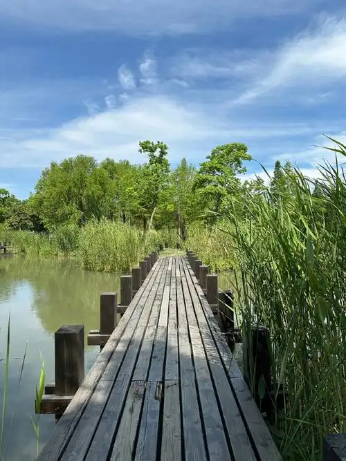 生活手记##记录美好生活##随手拍##手机摄影##沙家浜风景区##日常