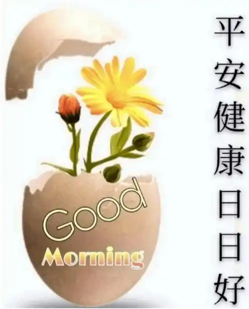 2021平安健康日日好