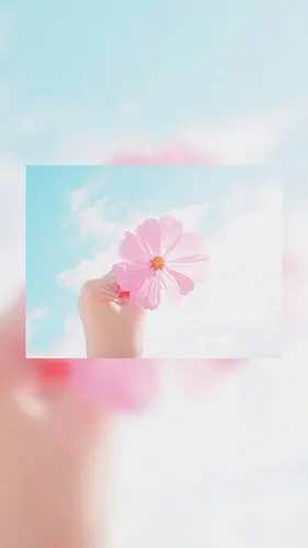 唯美个性清新背景