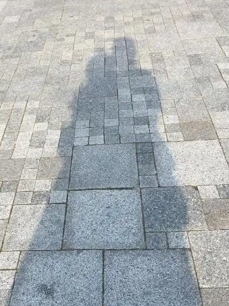 张靓颖男友冯柯秀恩爱七夕晒深情相拥的影子