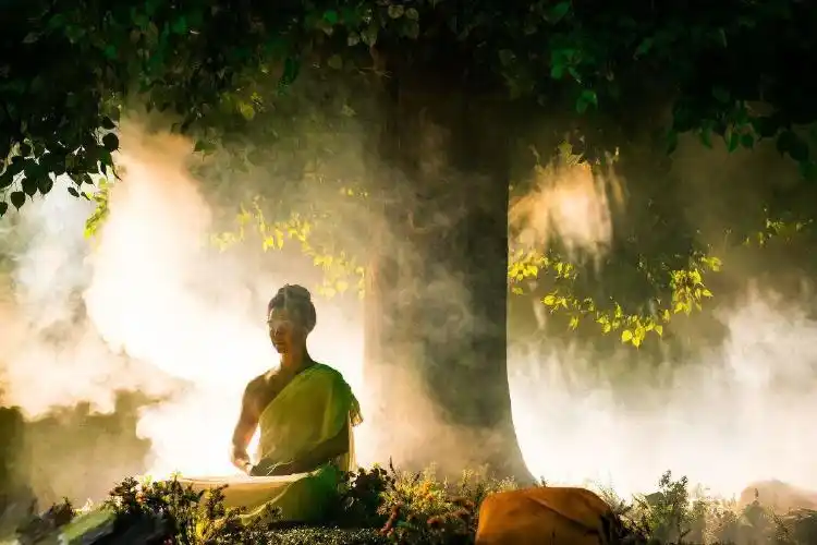 佛教音乐 - 菩提树_唯美纯音乐在线听_轻音乐-喜马拉雅fm