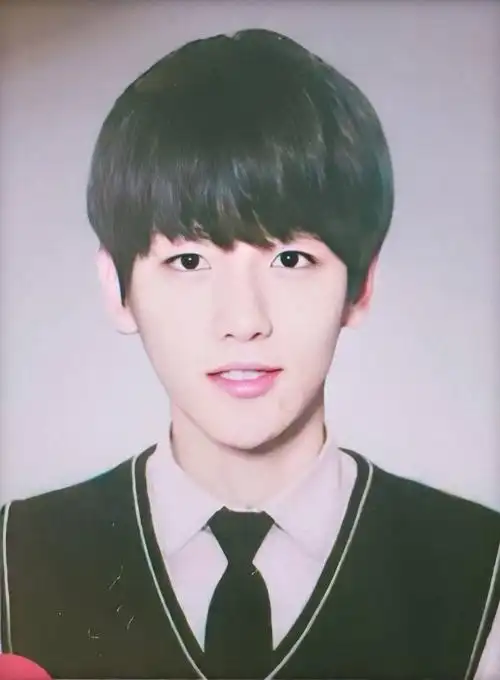 边伯贤证件照快拿去打印吧