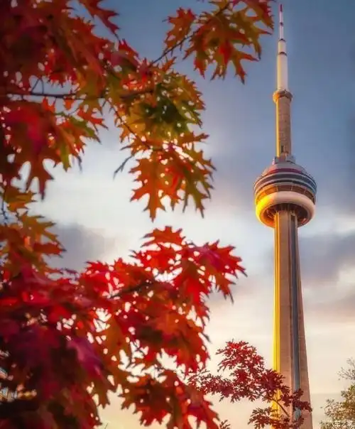 讲真的,加拿大"枫叶国"的别名,绝非浪得虚名.