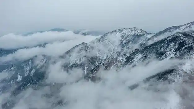 21岁学生爬秦岭失联,已找到遗体|石海|冰晶顶|将军山|保护区|原始森林