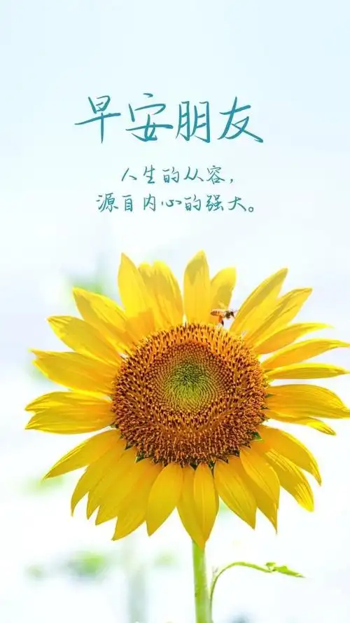 早安心语,事情并不总是像看起来那样糟糕,要学会从正面思考问题