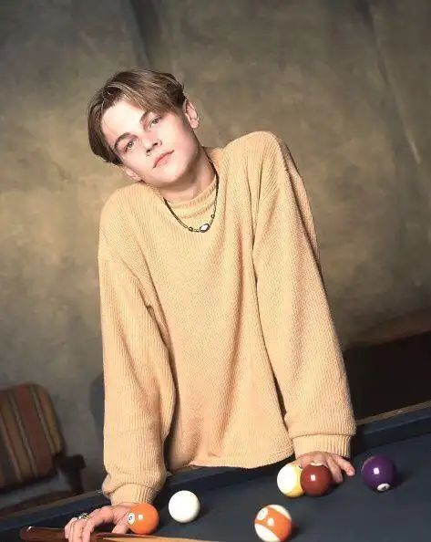 二十多岁的小李子