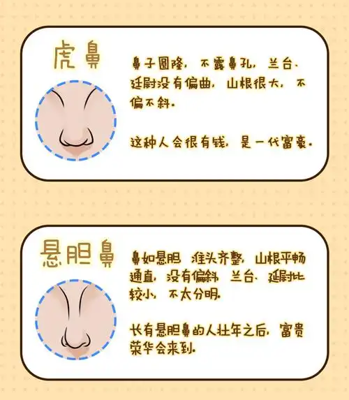 传说中的招财鼻十个有九个有钱人的鼻子长这样