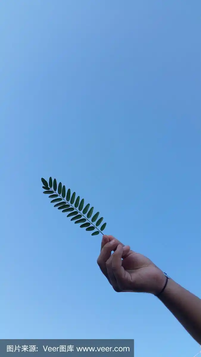 天空用手牵着树叶