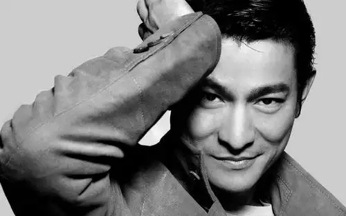 帅气魅力刘德华写真,高清图片,明星-回车图片