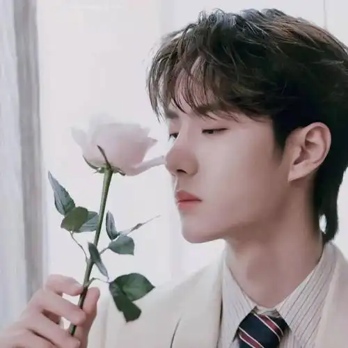 【微信头像】博君一肖情头