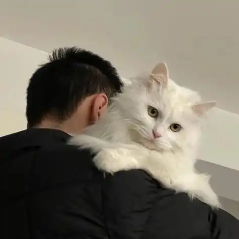 男生头像猫猫系列个性酷炫 男生头像图片大全 -【爱个性】