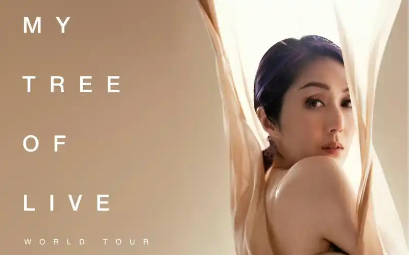 杨千嬅my tree of live世界巡回演唱会-肇庆站 看台第二排手持拍摄