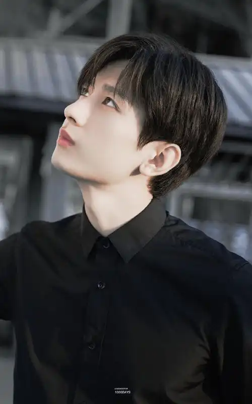 成毅新剧是女婿见家长模板##成毅南风知我意