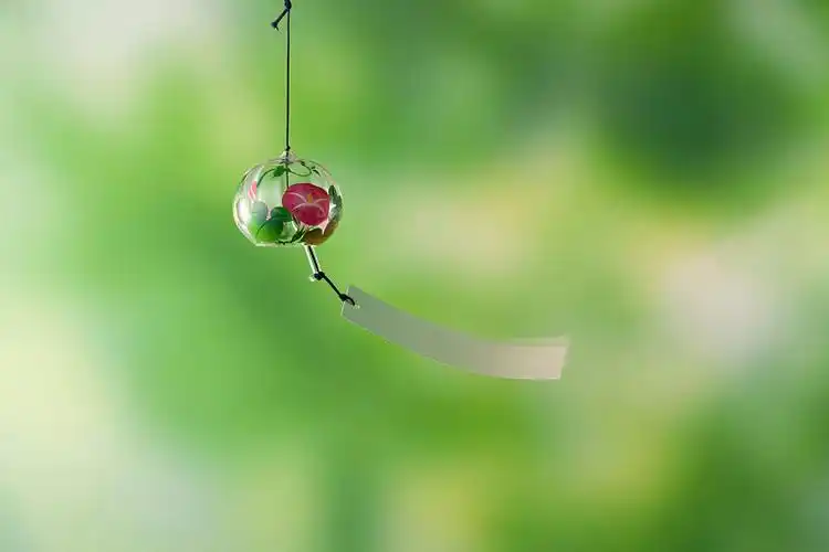 风铃绿枫叶图片素材