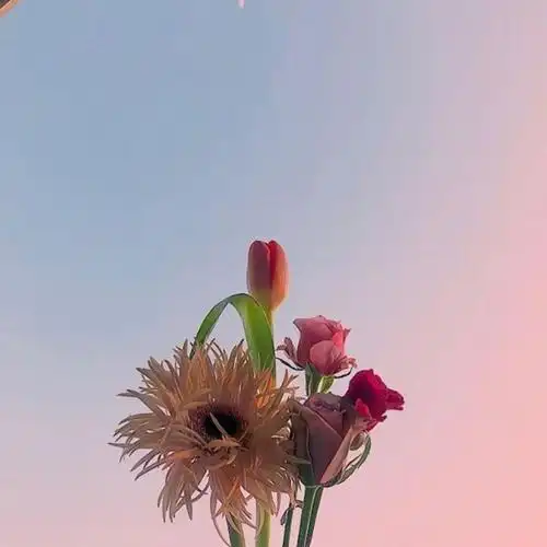 正能量唯美温柔句子,朋友圈一句话说说2020