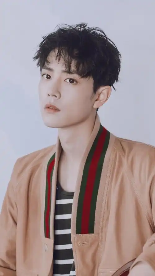 肖战阳光帅气欧美个性写真高清原图查看 (5/9)