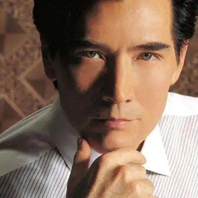 图费翔年轻图片帅爆了不老男神已发福