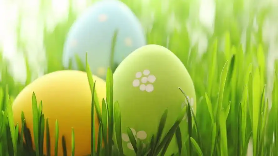 3840x2160体积:729kb上传时间:2021-10-20壁纸标签:护眼 草 柔和 复活