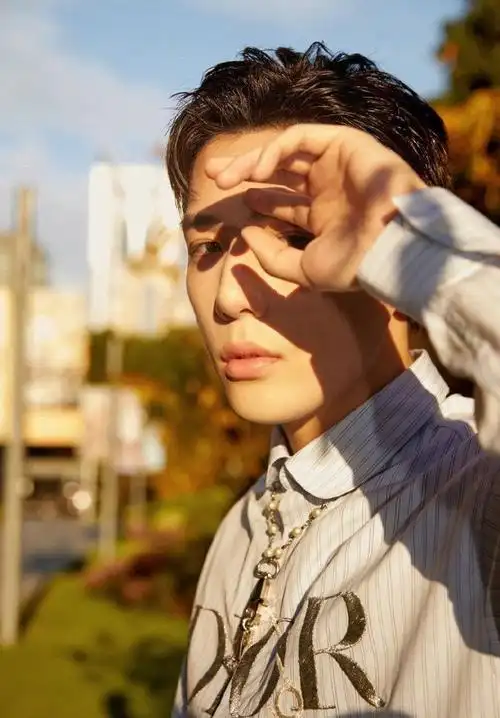 王安宇条纹衬衫秋色风氛围感帅气图片