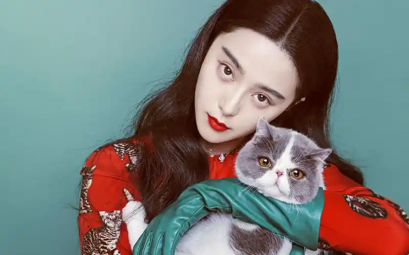 女星范冰冰,高清图片,电脑桌面-壁纸族